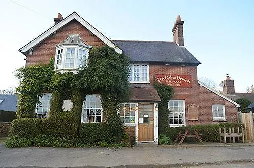 The Oak At Dewlish-1